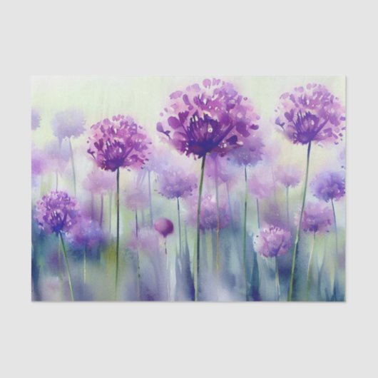 Bereich Blume-Allium, (C) Aquarell Seidenpapier (Vorderseite)