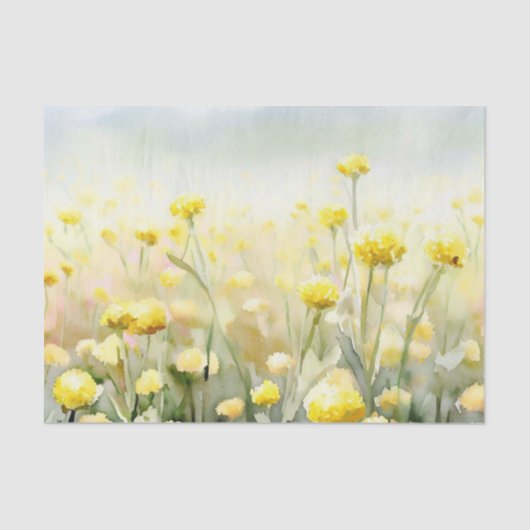 Bereich Blume - Craspedia (C) Seidenpapier (Vorderseite)