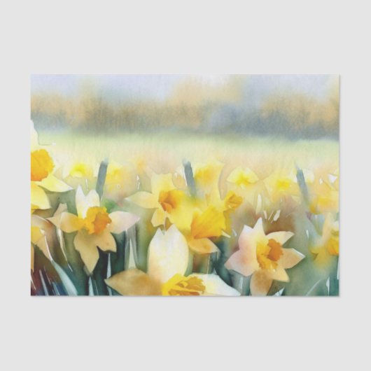 Bereich Blume-Daffodil (B) Aquarell Seidenpapier (Vorderseite)