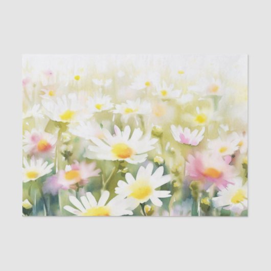 Bereich Blume-Daisy (D) Wasserfarbe Seidenpapier (Vorderseite)