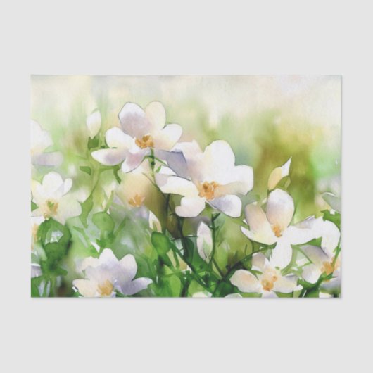 Bereich Blume-Jasmin (A) Aquarellbilder Seidenpapier (Vorderseite)