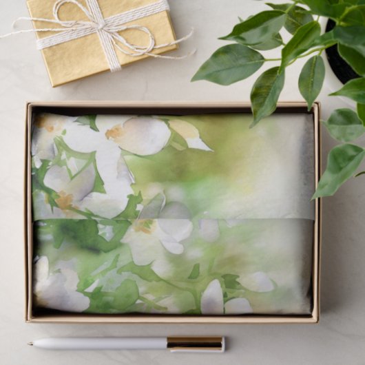 Bereich Blume-Jasmin (A) Aquarellbilder Seidenpapier (Geschenk)