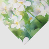 Bereich Blume-Jasmine (B) Aquarellbilder Seidenpapier (Ausschnitt)