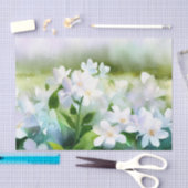 Bereich Blume-Jasmine (D) Wasserfarbe Seidenpapier (Handwerk)