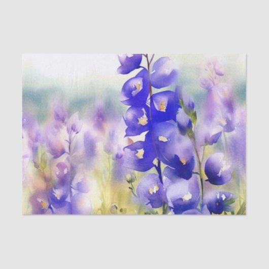 Bereich Blume-Monkshood (B) Aquarell Seidenpapier (Vorderseite)