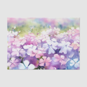 Bereich Blume-Phlox (D) Wasserfarbe Seidenpapier