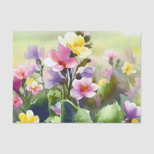 Bereich Blume-Primrose (A) Aquarell Seidenpapier (Vorderseite)