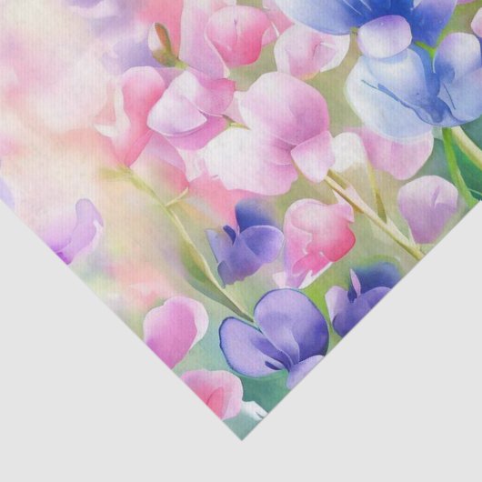 Bereich Blume - Süßer Erbsen (C) Aquarell Seidenpapier (Ausschnitt)