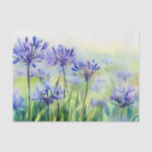 Bereich der Blume-Agapanthus, (D) Aquarell Seidenpapier (Vorderseite)