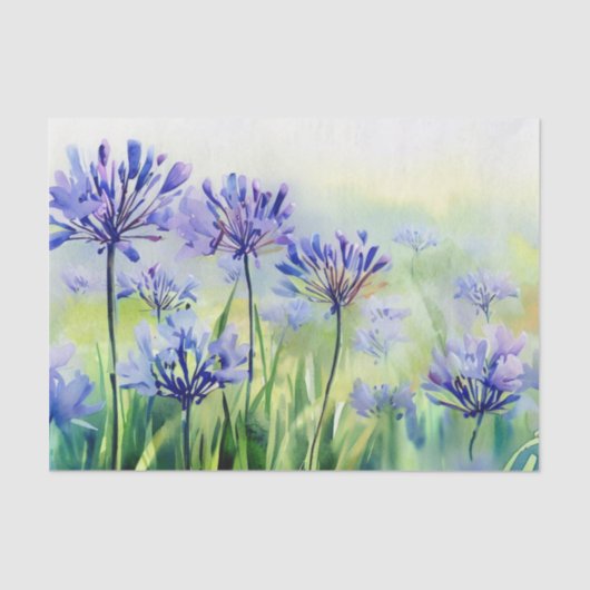 Bereich der Blume-Agapanthus, (D) Aquarell Seidenpapier (Vorderseite)