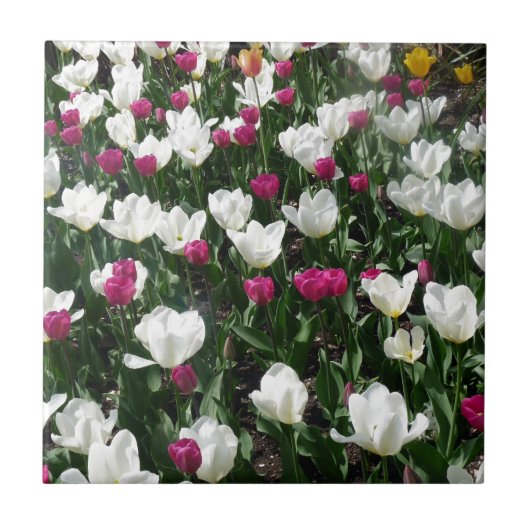 Bereich der Blume Fliese (Vorderseite)