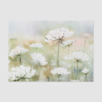 Bereich der Blume - Königin Anne's Lace (B) Wasser