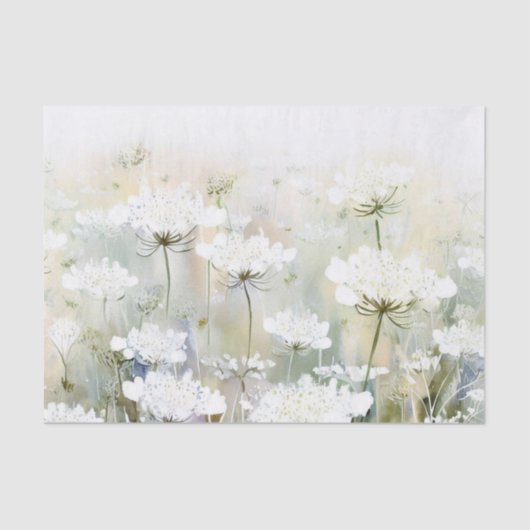 Bereich der Blume - Königin Anne's Lace (D) Wasser Seidenpapier (Vorderseite)