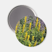 Bereich der Blume Magnet (Vorderseite/Rückseite)