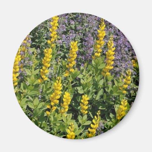 Bereich der Blume Magnet (Vorne)