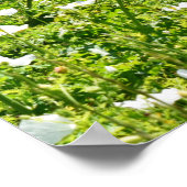 Bereich der Blume mit Eisenbahnzaun Poster (Ecke)