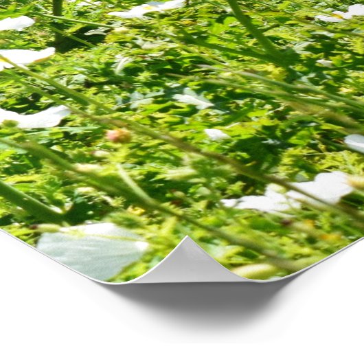 Bereich der Blume mit Eisenbahnzaun Poster (Ecke)