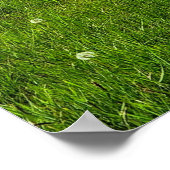 Bereich der Blume Poster (Ecke)