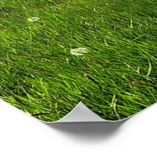 Bereich der Blume Poster (Ecke)