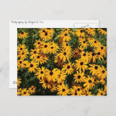 Bereich der Blume Postkarte (Vorne/Hinten)