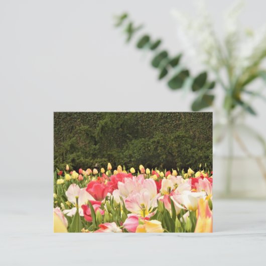 Bereich der Blume Postkarte (Stehend Vorderseite)