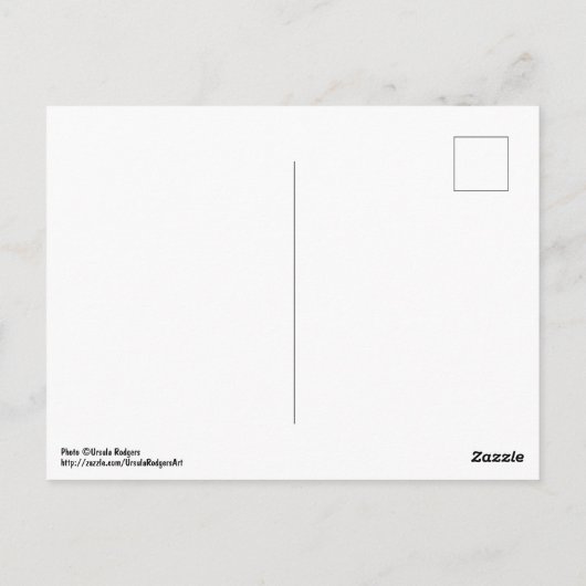 Bereich der Blume Postkarte (Rückseite)