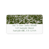 Bereich der Daisies Alaskan-Wildblumen Adressaufkleber (Vorne)