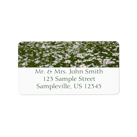 Bereich der Daisies Alaskan-Wildblumen Adressaufkleber (Vorne)