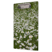 Bereich der Daisies Alaskan-Wildblumen Klemmbrett (Links)