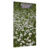 Bereich der Daisies Alaskan-Wildblumen Klemmbrett (Rechts)