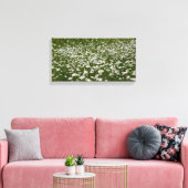 Bereich der Daisies Alaskan-Wildblumen Leinwanddruck (Insitu (Wohnzimmer))