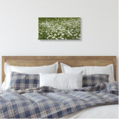 Bereich der Daisies Alaskan-Wildblumen Leinwanddruck (Insitu (Schlafzimmer))
