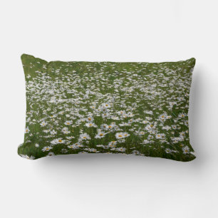 Bereich der Daisies Alaskan-Wildblumen Lendenkissen