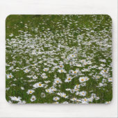 Bereich der Daisies Alaskan-Wildblumen Mousepad (Vorne)