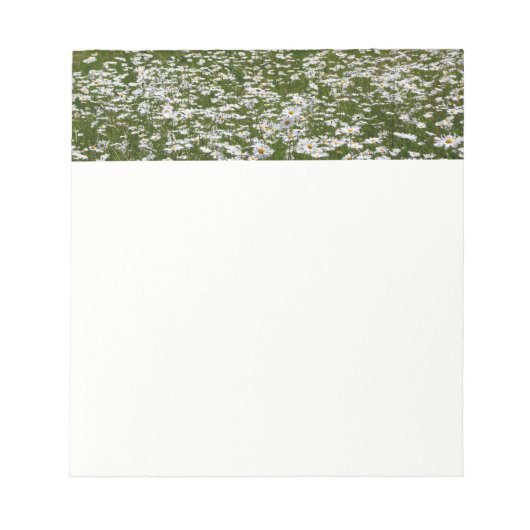 Bereich der Daisies Alaskan-Wildblumen Notizblock (Vorderseite)