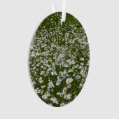 Bereich der Daisies Alaskan-Wildblumen Ornament (Vorderseite)