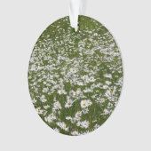 Bereich der Daisies Alaskan-Wildblumen Ornament (Vorderseite)