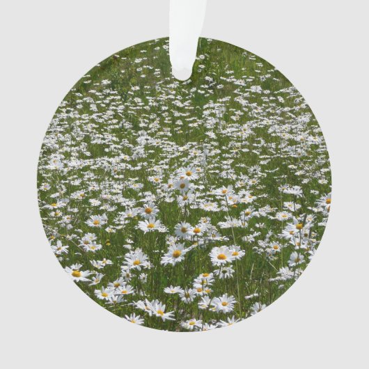 Bereich der Daisies Alaskan-Wildblumen Ornament (Vorderseite)