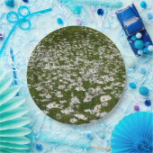 Bereich der Daisies Alaskan-Wildblumen Pappteller (Party)