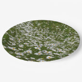 Bereich der Daisies Alaskan-Wildblumen Pappteller (Schrägansicht)