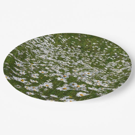 Bereich der Daisies Alaskan-Wildblumen Pappteller (Schrägansicht)