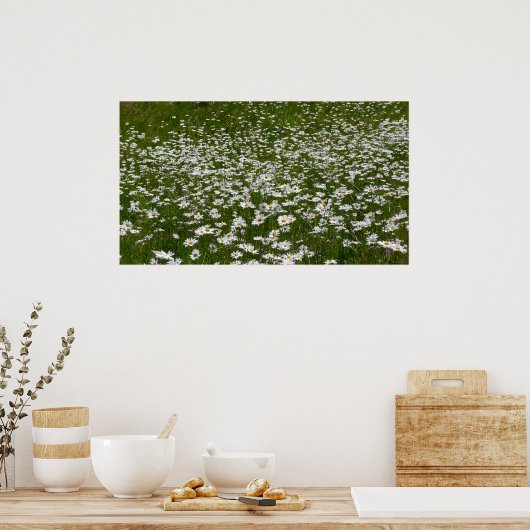 Bereich der Daisies Alaskan-Wildblumen Poster (Küche)