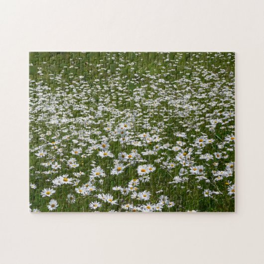 Bereich der Daisies Alaskan-Wildblumen Puzzle (Horizontal)