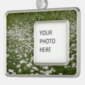 Bereich der Daisies Alaskan-Wildblumen Rahmen-Ornament Silber (Links)