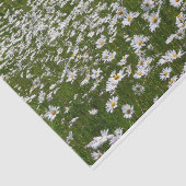 Bereich der Daisies Alaskan-Wildblumen Seidenpapier (Ausschnitt)