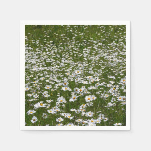 Bereich der Daisies Alaskan-Wildblumen Serviette