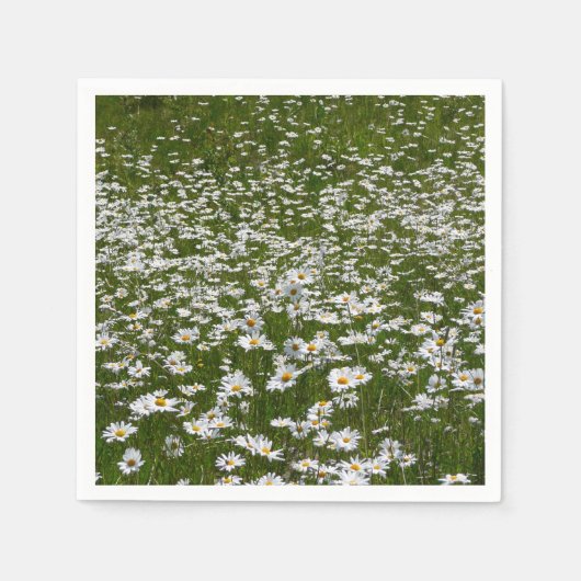 Bereich der Daisies Alaskan-Wildblumen Serviette (Vorderseite)