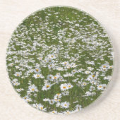 Bereich der Daisies Alaskan-Wildblumen Untersetzer (Vorne)