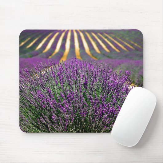 Bereich der lila Lavendel Mousepad (Mit Mouse)