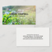 Bereich der Pflanze Visitenkarte (Vorne/Hinten)